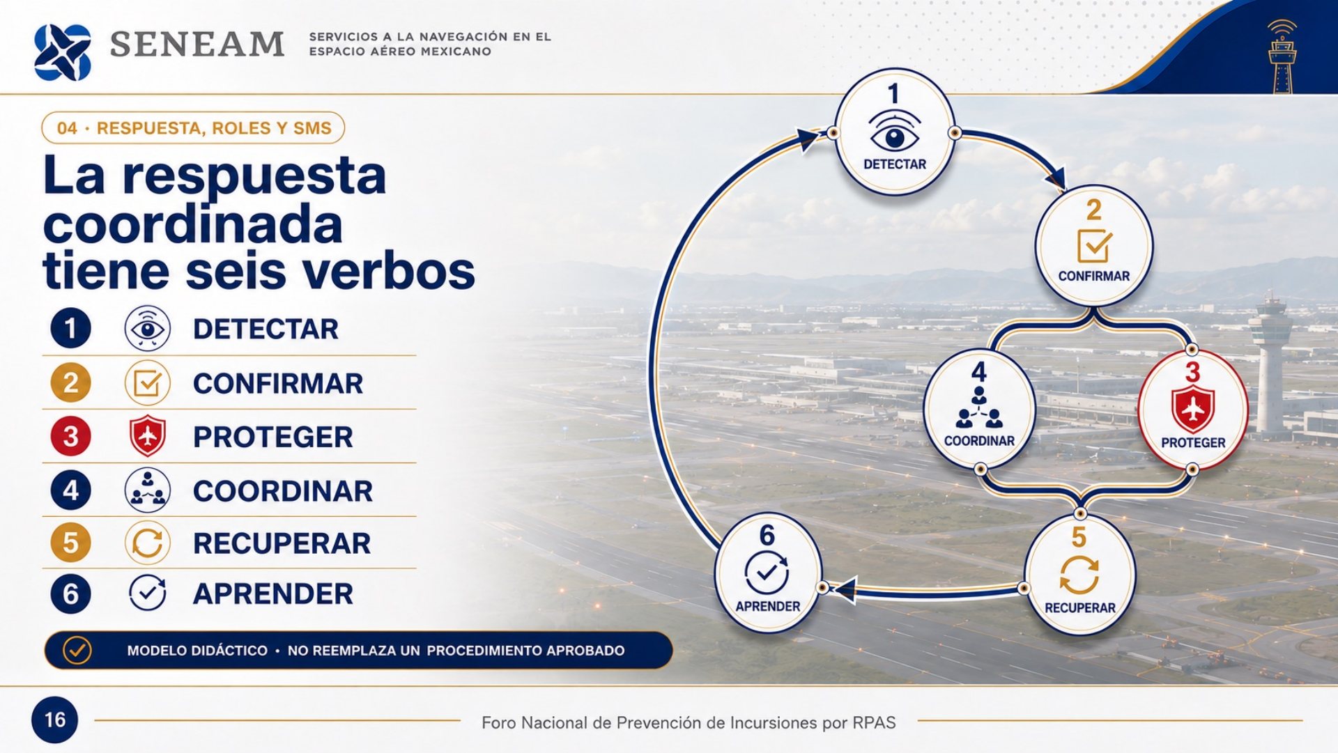 Lámina de la respuesta coordinada en seis verbos